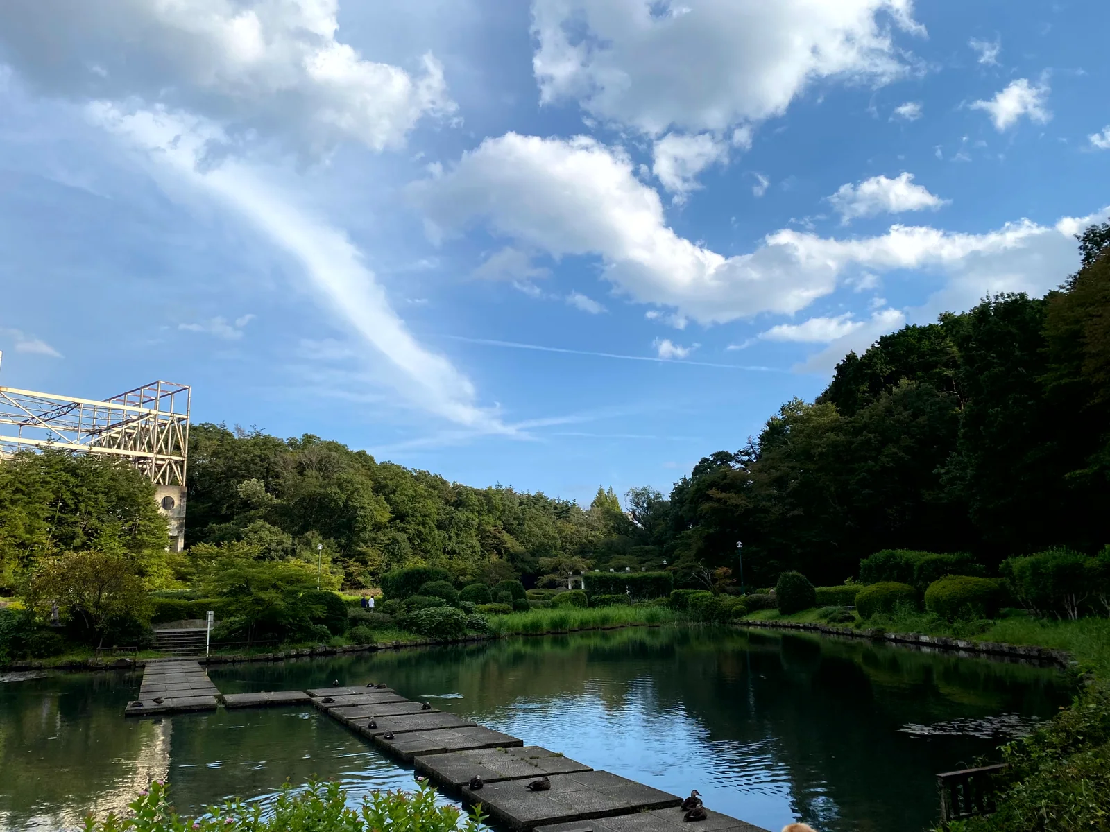 緑と池のある宮城・仙台の風景